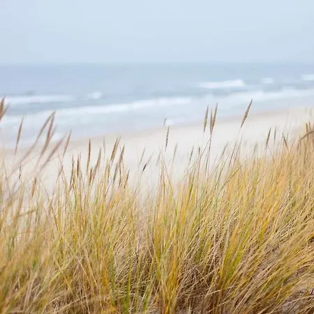 Oase An Der Ostsee Mit 2 Schlafzimmern *